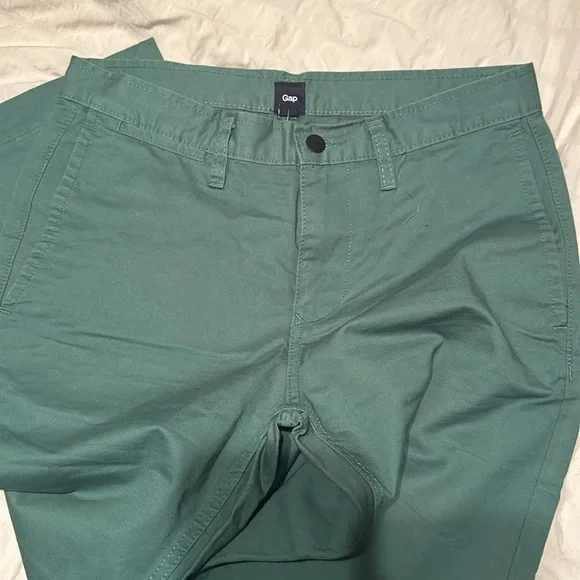 NWOT Gap slim twill pant frost spruce size 30 X 32 - Picture 2 of 5